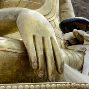 buddhas-hand-PYJRY3R.jpg