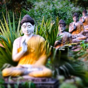 lot-buddhas-statues-in-loumani-buddha-garden-hpa-a-BMTR9H3.jpg